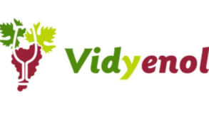 Vieirinox recibe la visita de Vidyenol para fortalecer la alianza ibérica