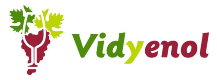 Vieirinox recibe la visita de Vidyenol para fortalecer la alianza ibérica
